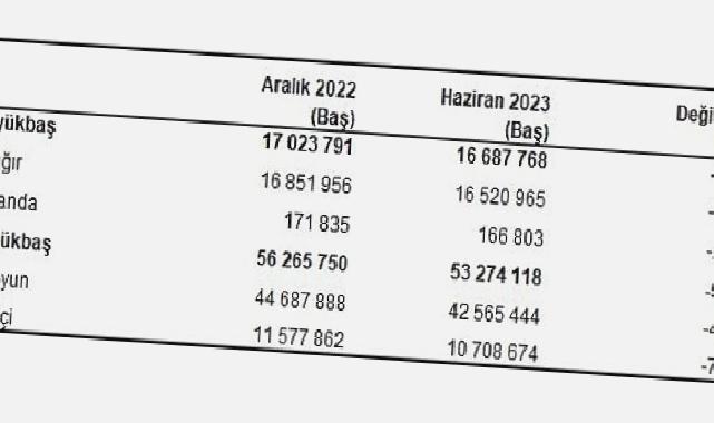 Büyükbaş hayvan sayısı 2023 yılı Haziran ayında 16 milyon 688 bin baş oldu