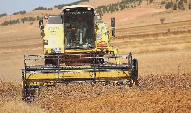 Büyükşehir Destekliyor, Konyalı Çiftçinin Yüzü Gülüyor