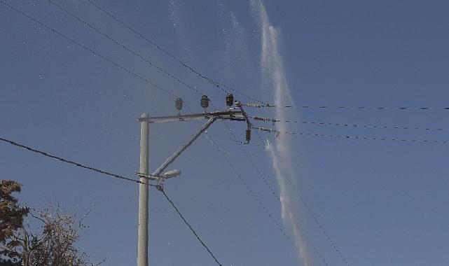 Elektrik Hatlarında Temizlik Zamanı