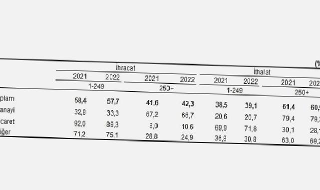 İhracatın yüzde 42,3’ünü, ithalatın ise yüzde 60,9’unu büyük ölçekli girişimler gerçekleştirdi