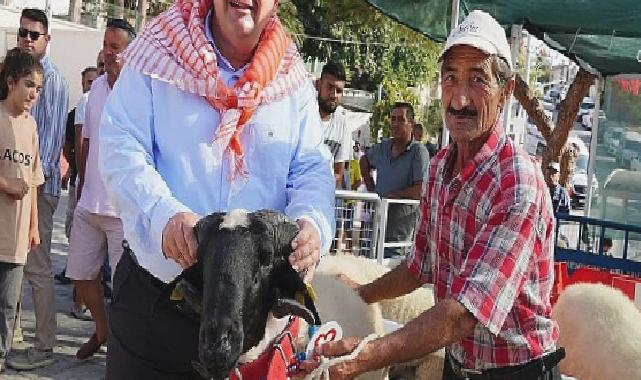 Ovacık’ta Festival Heyecanı Başlıyor