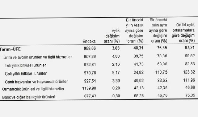 Tarım ürünleri üretici fiyat endeksi (Tarım-ÜFE) yıllık yüzde 76,35, aylık yüzde 3,83 arttı