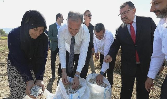 Tarladan Sofraya; Cerrah Kuru Fasulyesi