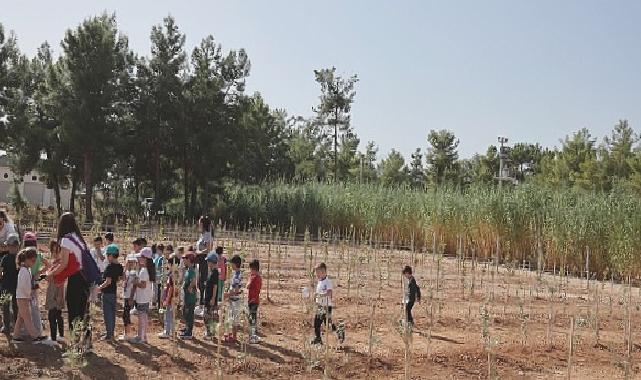 Büyükşehir Belediyesi 100. Yıl Hatıra Ormanı oluşturdu