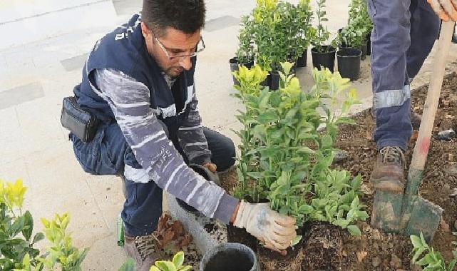 Büyükşehir’den Ulaşlı Camii’ne estetik meydan