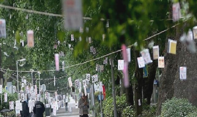 Cumhuriyet Bulvarı’nda Ağaçlar Kitap Açacak