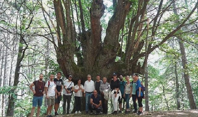 Efeler Yolu Projesine Uluslararası Ödül