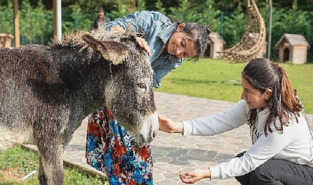 Hepsiburada, 4 Ekim Hayvanları Koruma Günü’nde Can Dostlarımızı Unutmadı