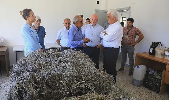 Muğla’da Büyükşehir Belediyesi’nin Tarımsal Güçbirliği Projesi Üreticiye Kazandırıyor