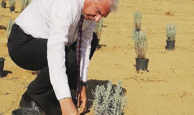 Ödemiş Belediyesi’nden “Tıbbi-Aromatik Bitki Bahçesi” hamlesi