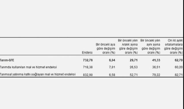 Tarımsal girdi fiyat endeksi (Tarım-GFE) yıllık yüzde 41,33, aylık yüzde 6,94 arttı