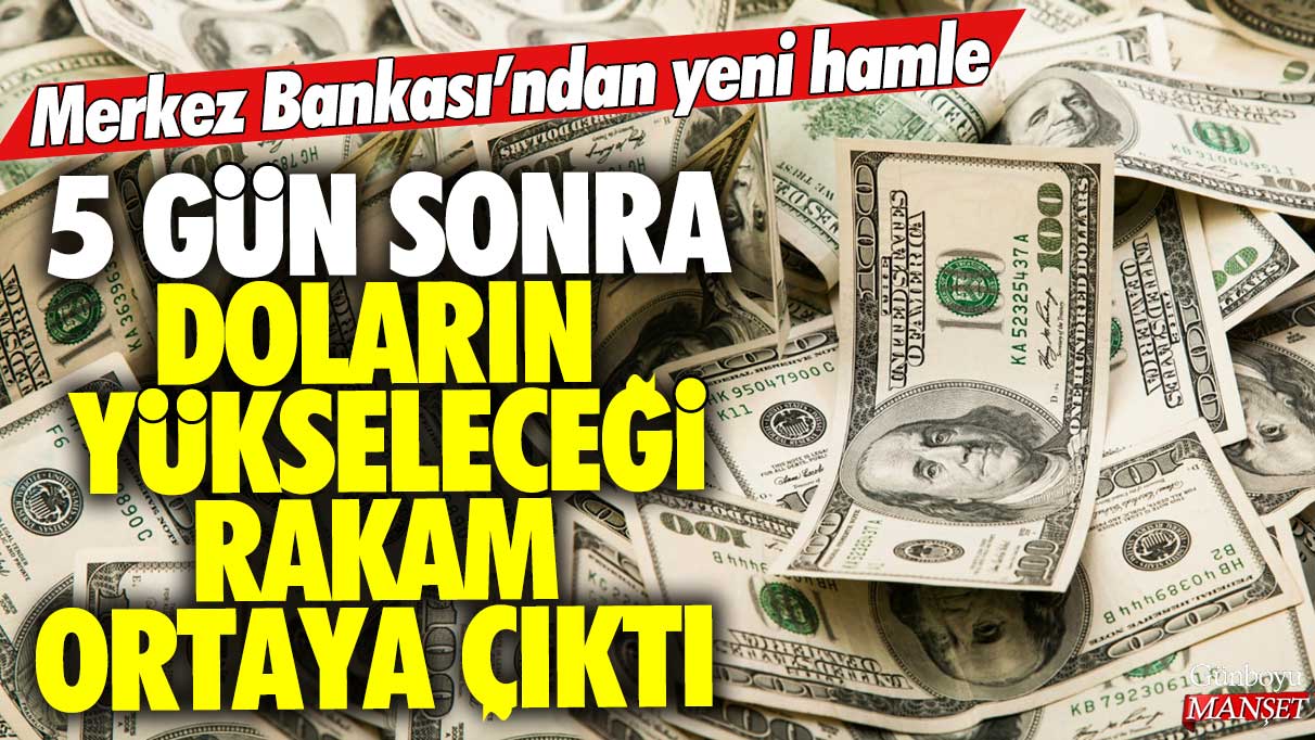 Merkez Bankası 5 gün sonra doların yükseleceği rakamı belirledi