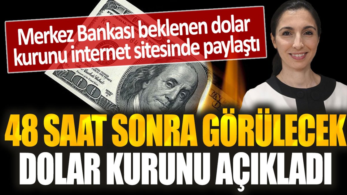 Merkez Bankası’nın resmi açıklamasına göre 48 saat içinde dolar kurunu görebiliriz