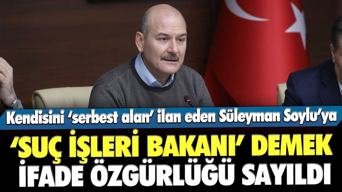 Mahkeme, Süleyman Soylu için “Suç İşleri Bakanı” ifadesinin ifade özgürlüğü kapsamına girdiğini belirtti.