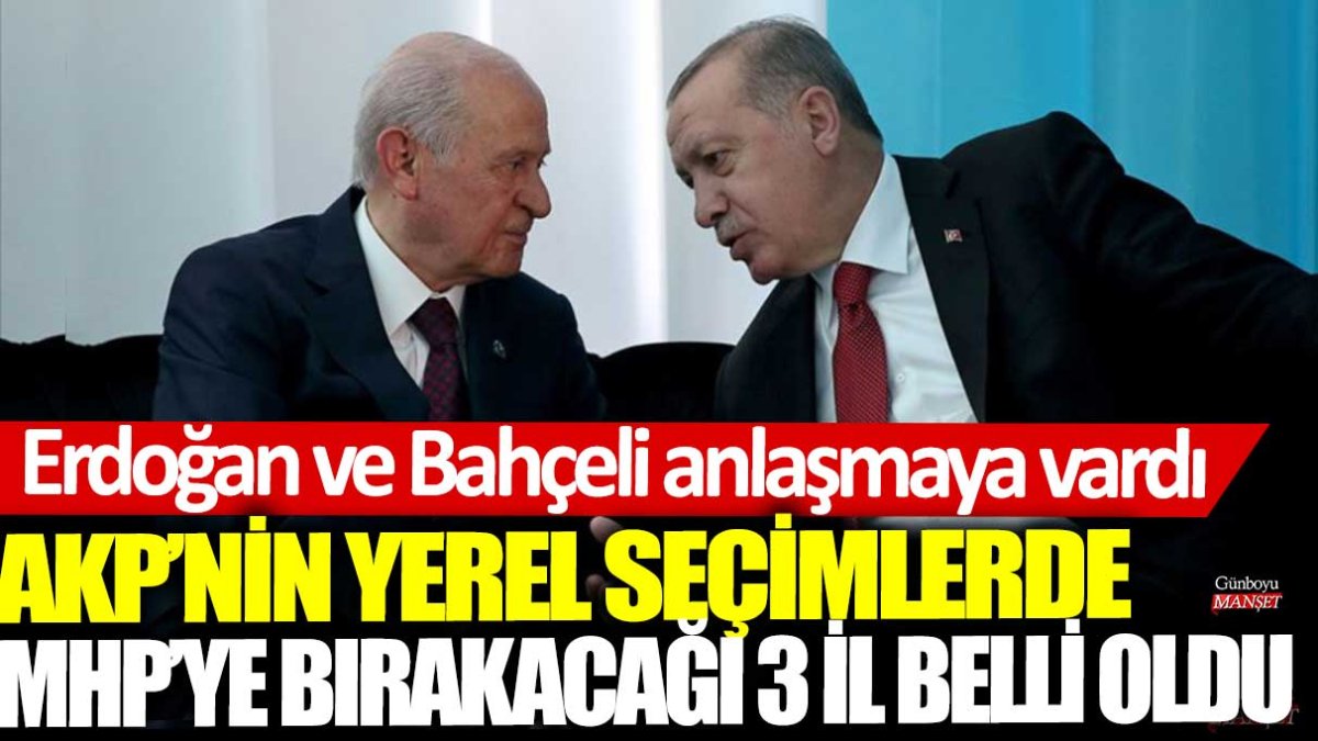 AKP ve MHP anlaşarak 3 il için yerel seçimlerde iş birliği yapacak.