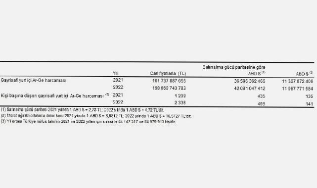 Araştırma-Geliştirme Faaliyetleri Araştırması, 2022