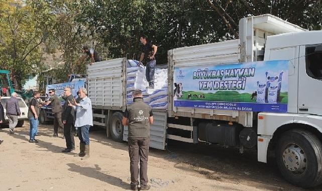 Aydın büyükşehir belediyesi’nden selden etkilenen üreticiye yem desteği