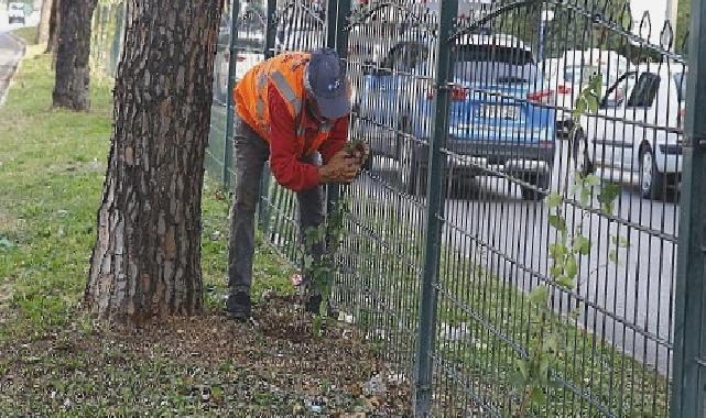 Büyükşehir’den Evliya Çelebi Caddesi’nde refüj çalışması