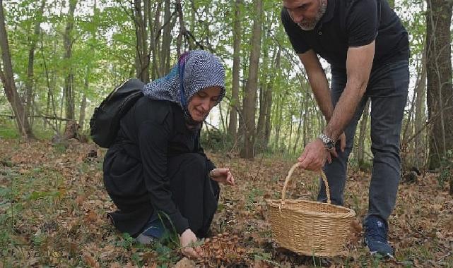 Kocaeli’nde Ormanya’da mantar avı düzenlendi