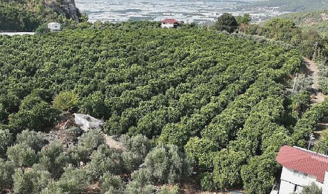 Kumlucalı üreticiler kapalı devre sulama tesisinden memnun