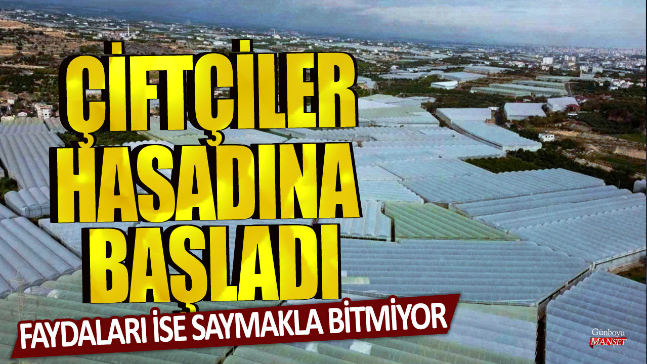 – Çiftçiler hasat dönemine girdi ve faydaları çoğaltmak için çalışmaya başladı.