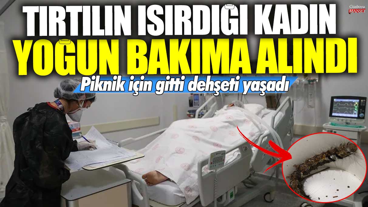 Piknik Yaparken Tırtıl Isırması Sonucu Kadın Yoğun Bakıma Alındı