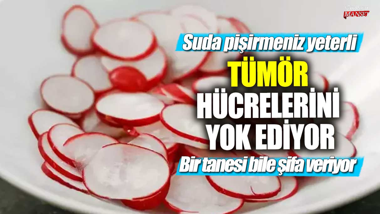 Tümör hücrelerini yok eden bir şifa: Suda pişirmek yeterli!