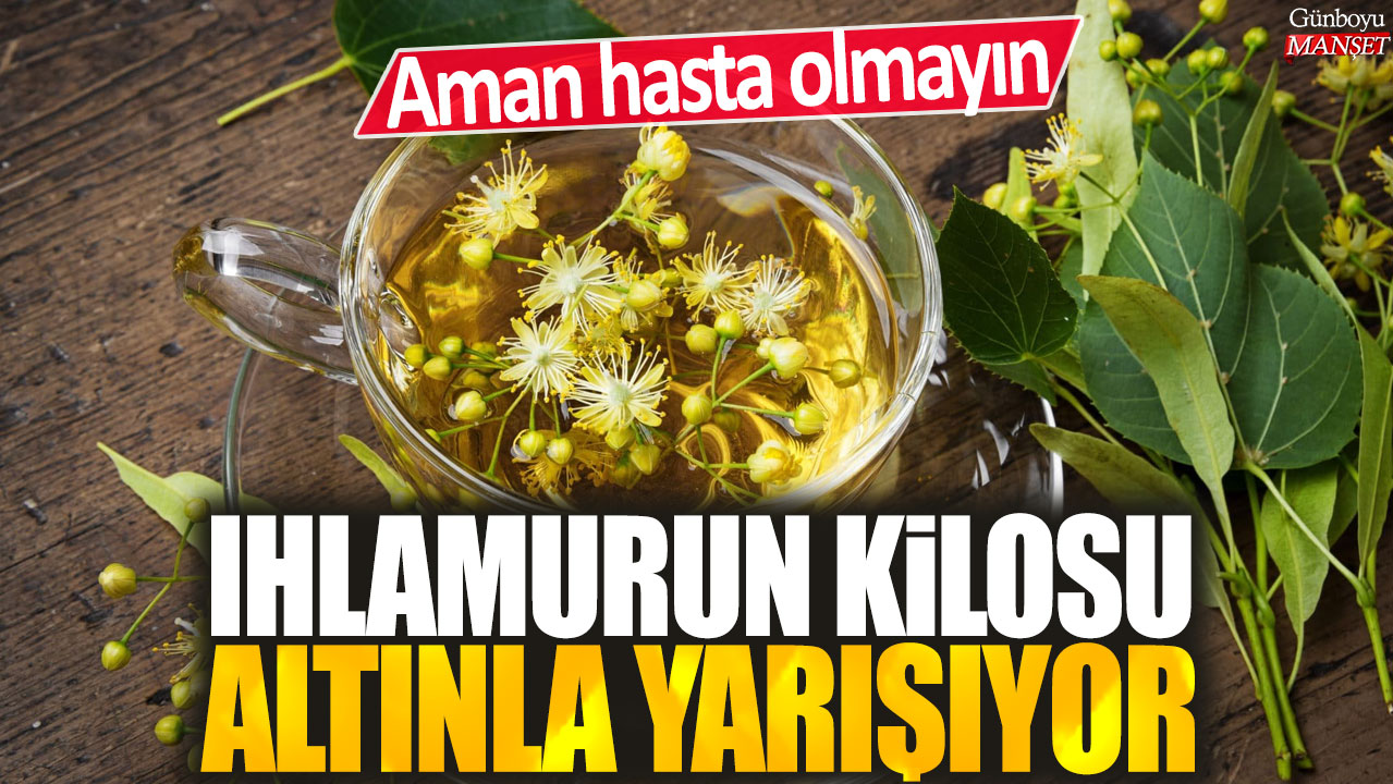 Ihlamurun kilosu astronomik rakamlara ulaştı: Sağlığınızı koruyun!