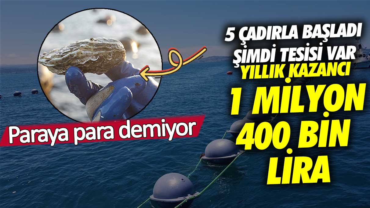 İlk başta 5 çadırla başladı, şimdi yıllık kazancı 1 milyon 400 bin lira olan bir tesise sahip! Para konusunda cimri davranmıyor.