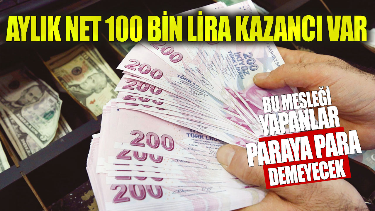 Aylık Geliri 100 bin lira olan Meslek, Paraya Para Demiyor!