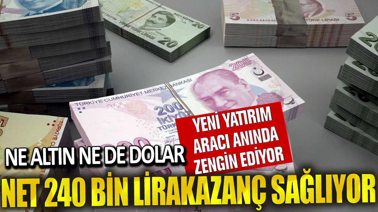 Yeni Yatırım Fırsatı: Altın ve Doları Geride Bırakarak Anında Zenginlik Sağlayan Yatırım Aracı! Net 240 Bin Lira Kazanç Mümkün