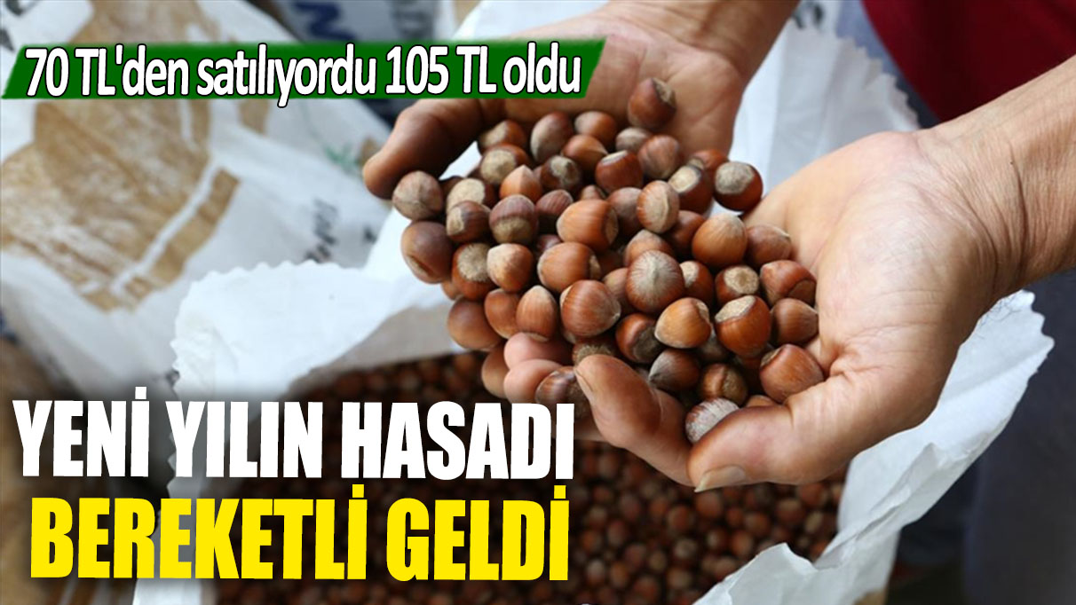 Yeni yılın hasadı bereketiyle geldi: Satış fiyatı 70 TL’den 105 TL’ye yükseldi