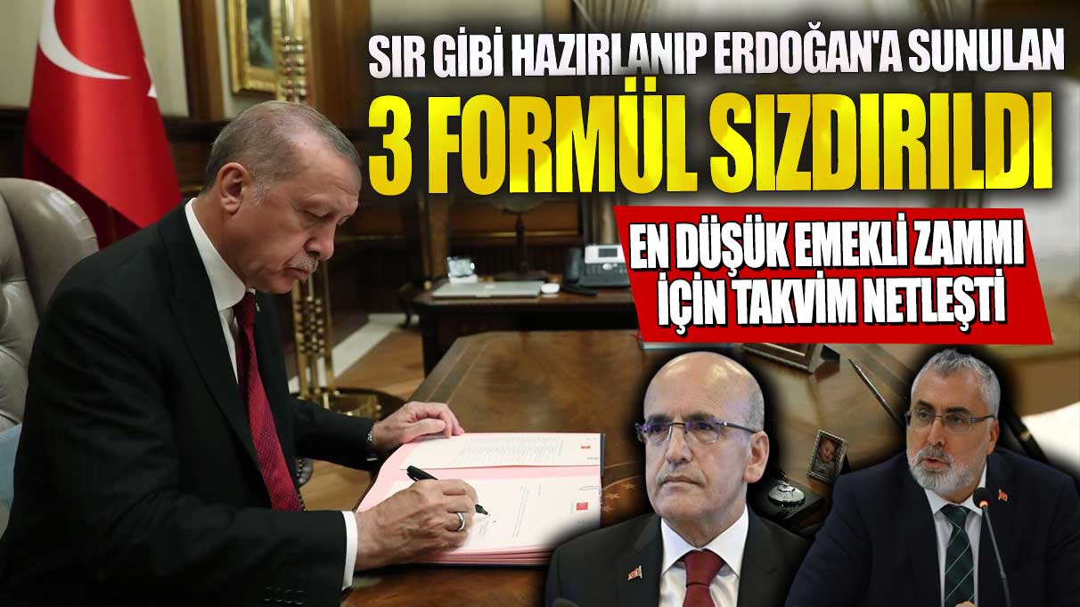 Erdoğan’a sunulan 3 formül sızdırıldı! En düşük emekli zammı için belirlenen takvim açıklandı