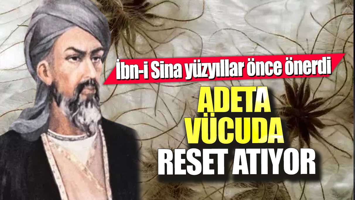 Köklü bir öneri: İbn-i Sina’nın yüzyıllar önce önerdiği sebze, vücudu adeta resetliyor.