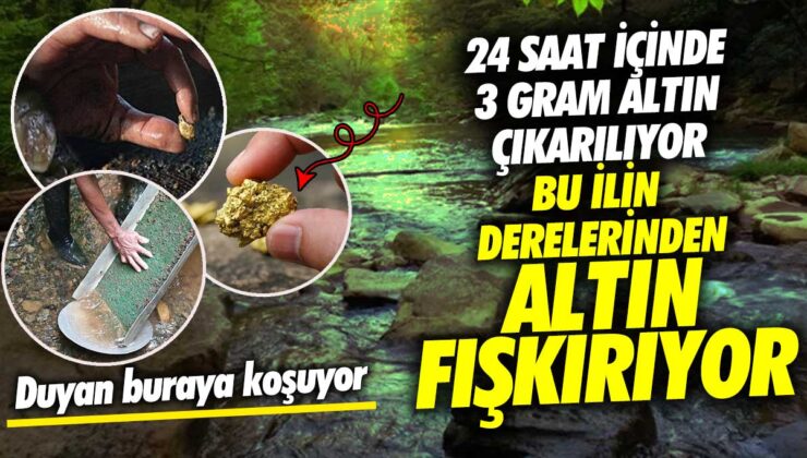 Her gün 3 gram altın çıkarılan bu ilin derelerinden altın akıyor, insanlar koşa koşa geliyor!