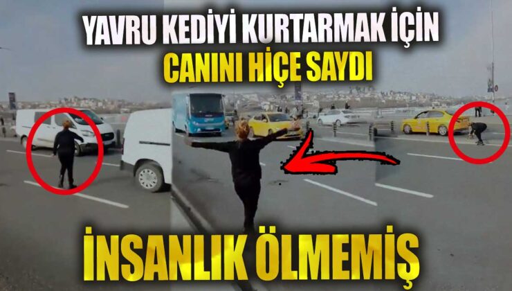 Yavru kedinin hayatını kurtarmak için kendi canını tehlikeye atan kişi, insanlık değerlerini gösterdi!