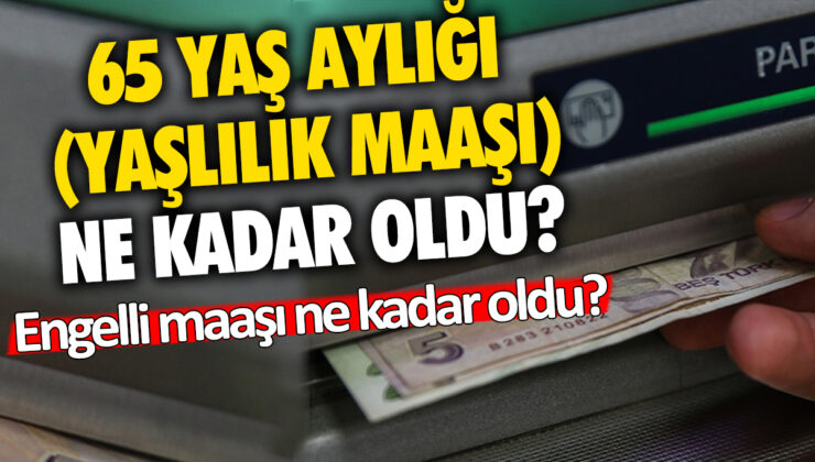 2024’te 65 yaş aylığı ve engelli maaşı ne kadar?