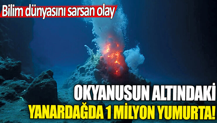 Okyanusun Altındaki Yanardağda 1 Milyon Yumurta Keşfi Bilim Dünyasını Şaşırttı!