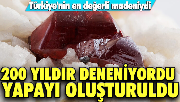 Türkiye’nin en değerli yapayı 200 yıllık çalışmanın ardından oluşturuldu!