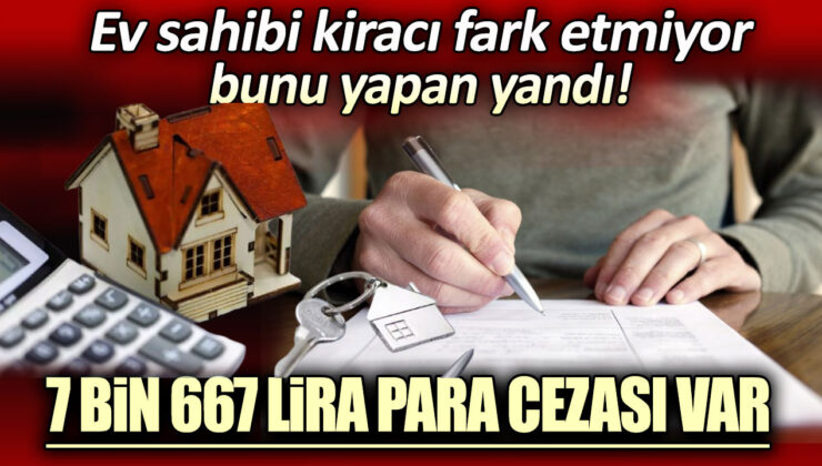 Kiracı tarafından yapılan ihlal fark edilmediği takdirde ev sahibi cezalı duruma düşebilir: 7 bin 667 lira para cezası alabilir!