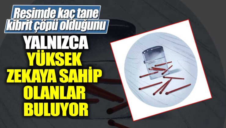 Sadece yüksek zekaya sahip kişilerin bulabildiği kaç tane kibrit çöpü olduğunu bulun.