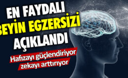 Hafızayı güçlendiren ve zekayı arttıran en iyi beyin egzersizi belirlendi