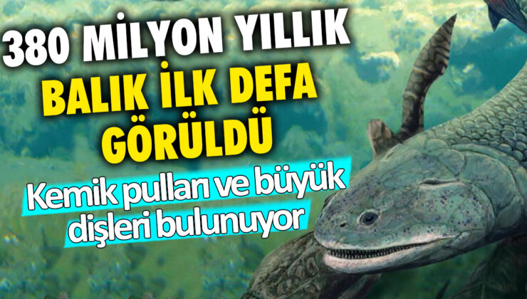 380 milyon yıllık bir balık türü keşfedildi: Kemik pulları ve dev dişleriyle dikkat çekiyor