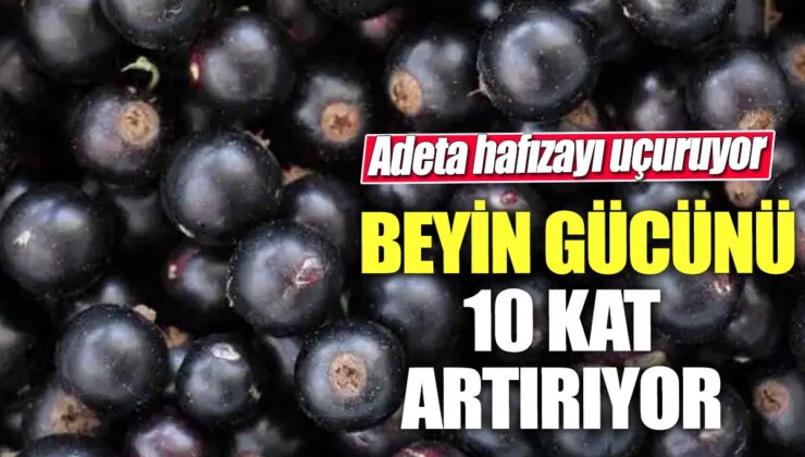 Beyin Gücünü 10 Kat Artıran ve Hafıza Kazandıran Yeni Keşif!