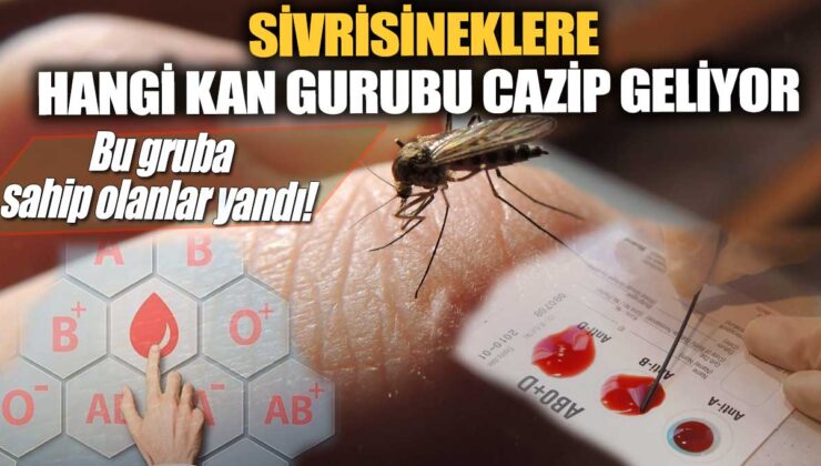 Sivrisineklere hangi kan grubu daha çekici geliyor? Dikkat! Bu kan grubuna sahip olanlar daha çok ısırılıyor!