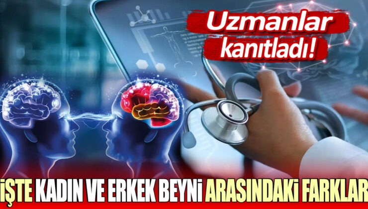 Uzmanlar tarafından kanıtlandı: Kadın ve erkek beyni arasındaki farklar ortaya çıktı!