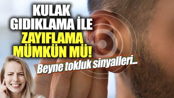 Kulak Gıdıklama ile Zayıflama: Beyin Tokluk Sinyalleri Üzerine Yeni Bir Araştırma