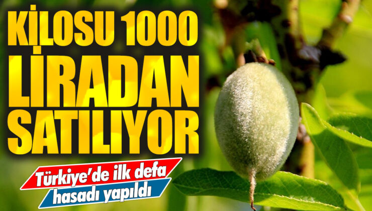 Türkiye’de ilk kez hasat edilen ürünün kilosu 1000 liradan satılıyor!