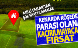 Milli Emlak’tan şaşırtıcı fiyatlarla arsalar! Paranız varsa bu fırsatı kaçırmayın!