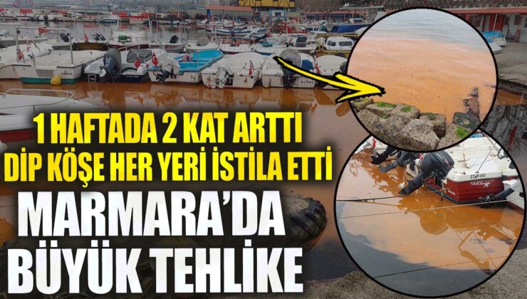 Marmara Denizi’nde büyük bir tehlike: Dip köşe her yeri istila etti.